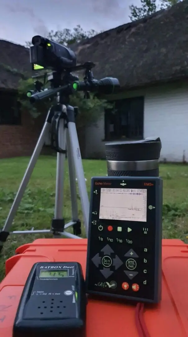 Night time bat emergence survey